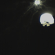 Planetary scientists will want to study the spider-like plumes emanating from Dimorphos.
